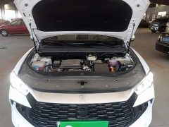 BYD Song Pro New Energy DM-i 71KM Glory Edition Pilot - photo 19