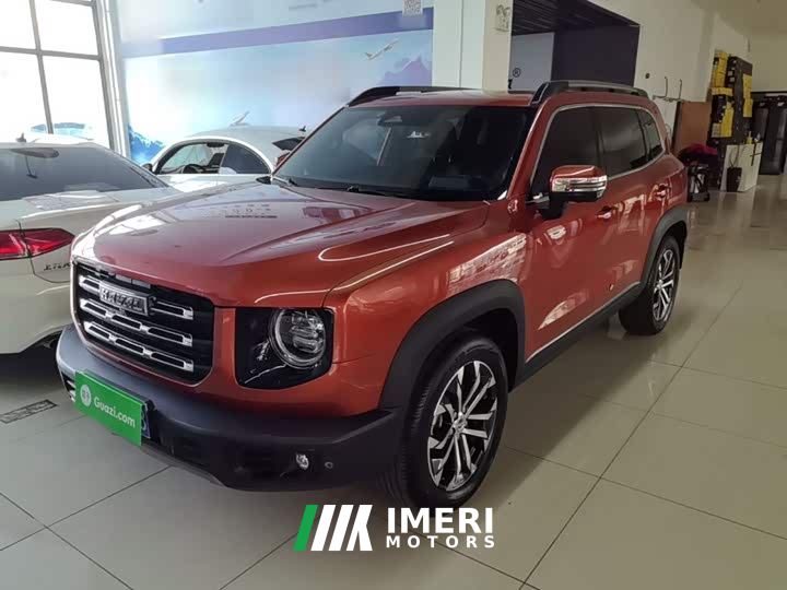 Great Wall Dachshund 1.5T DCT Two-Wheel Drive Border Collie Edition