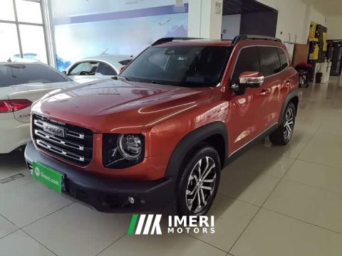 2022 Great Wall Dachshund 1.5T DCT Two-Wheel Drive Border Collie Edition