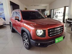 Great Wall Dachshund 1.5T DCT Two-Wheel Drive Border Collie Edition - ფოტო 3