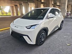 BYD Seagull Glory Edition 305km Vitality Version - ფოტო 1