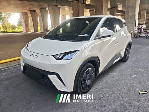 2024 BYD Seagull Glory Edition 305km Vitality Version