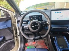 BYD Seagull Glory Edition 305km Vitality Version - ფოტო 10