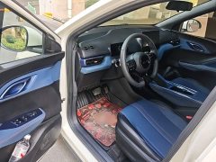 BYD Seagull Glory Edition 305km Vitality Version - ფოტო 15