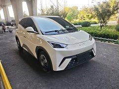 BYD Seagull Glory Edition 305km Vitality Version - ფოტო 3