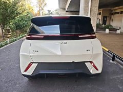 BYD Seagull Glory Edition 305km Vitality Version - ფოტო 5