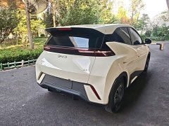 BYD Seagull Glory Edition 305km Vitality Version - ფოტო 6