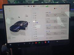 Tesla Model 3 Long Range All-Wheel Drive - ფოტო 10