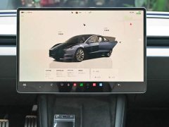 Tesla Model 3 Long Range All-Wheel Drive - ფოტო 11