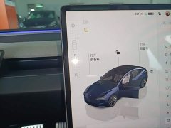 Tesla Model 3 Long Range All-Wheel Drive - ფოტო 12