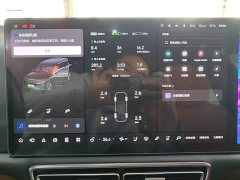 Li Auto L9 Pro - ფოტო 11