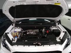 Soueast DX8S 1.5T DCT Edition 5 - ფოტო 19