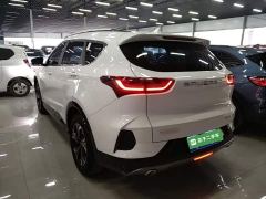 Soueast DX8S 1.5T DCT Edition 5 - ფოტო 4