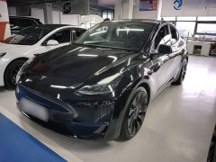 Tesla Model Y Performance All-Wheel Drive - ფოტო 1