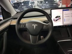 Tesla Model Y Performance All-Wheel Drive - ფოტო 10