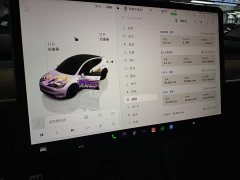 Tesla Model Y Performance All-Wheel Drive - ფოტო 11