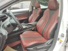 Changan Eado PLUS Blue Whale NE 1.4T GDI DCT Luxury - photo 14