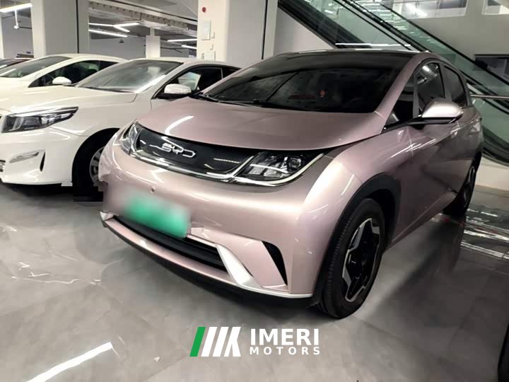 BYD Dolphin 405km Fashion Edition - ავტომობილი ჩინეთიდან