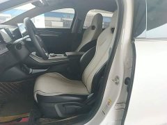 BYD Destroyer 05 Glory Edition DM-i 55KM Luxury - ფოტო 14
