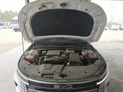 BYD Destroyer 05 Glory Edition DM-i 55KM Luxury - ფოტო 19