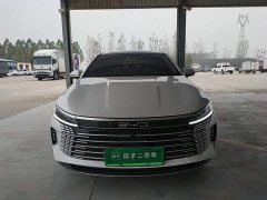 BYD Destroyer 05 Glory Edition DM-i 55KM Luxury - ფოტო 2