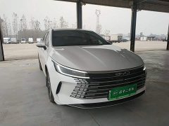 BYD Destroyer 05 Glory Edition DM-i 55KM Luxury - ფოტო 3
