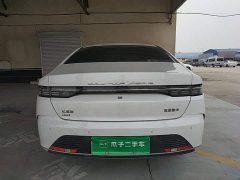 BYD Destroyer 05 Glory Edition DM-i 55KM Luxury - ფოტო 5