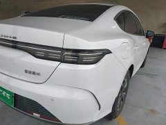 BYD Destroyer 05 Glory Edition DM-i 55KM Luxury - ფოტო 7