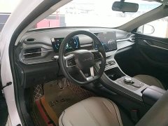 BYD Destroyer 05 Glory Edition DM-i 55KM Luxury - ფოტო 9