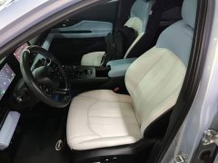 Trumpchi Shadow Leopard Shadow Leopard H Intelligent Hybrid Edition - фото 14