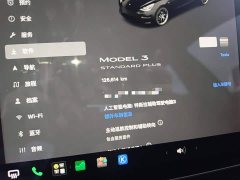Tesla Model 3 Standard Range RWD Upgrade - ფოტო 11