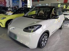 Wuling Binguo 333km Joy Edition - ფოტო 1