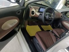 Wuling Binguo 333km Joy Edition - ფოტო 15