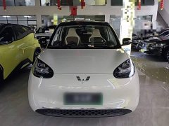 Wuling Binguo 333km Joy Edition - ფოტო 2