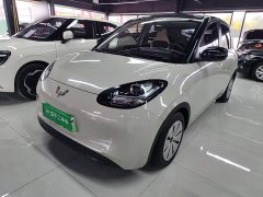 Wuling Binguo 333km Quick Enjoy Edition - ფოტო 1