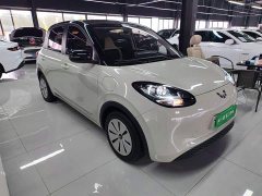 Wuling Binguo 333km Quick Enjoy Edition - ფოტო 3