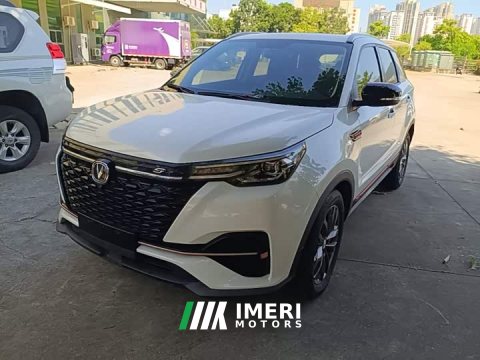 2022 Changan CS55 Plus Blue Whale 1.5T DCT Luxury - ავტომობილი ჩინეთიდან