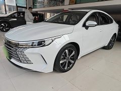 BYD Destroyer 05 Champion Edition DM-i 120KM Luxury - ფოტო 1