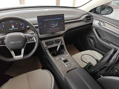 BYD Destroyer 05 Champion Edition DM-i 120KM Luxury - ფოტო 12