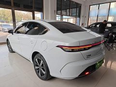 BYD Destroyer 05 Champion Edition DM-i 120KM Luxury - ფოტო 4