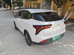 Neta V Standard Range Entertainment Edition - фото 4