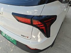 Neta V Standard Range Entertainment Edition - фото 7