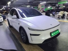 Tesla Model Y L Long Range All-Wheel Drive - photo 3