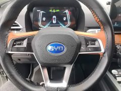 BYD e2 Luxury - ფოტო 10