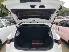 BYD e2 Luxury - ფოტო 18