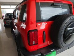 Tank 300 Off-Road Edition 2.0T Challenger - ფოტო 4
