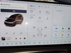 Li Auto L9 Max - ფოტო 11