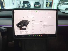 Tesla Model Y Rear-Wheel Drive - ფოტო 12