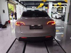 Tesla Model Y Rear-Wheel Drive - ფოტო 5