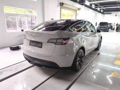 Tesla Model Y Rear-Wheel Drive - ფოტო 6
